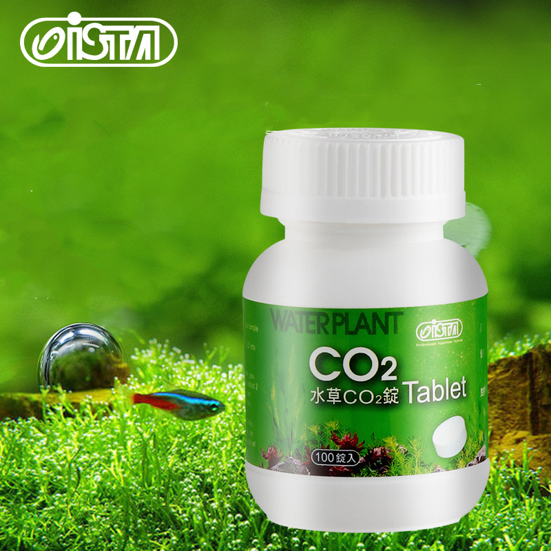 Planted Aquarium Without Co2 - ISTA Cá Bể Cá CO2 Máy
