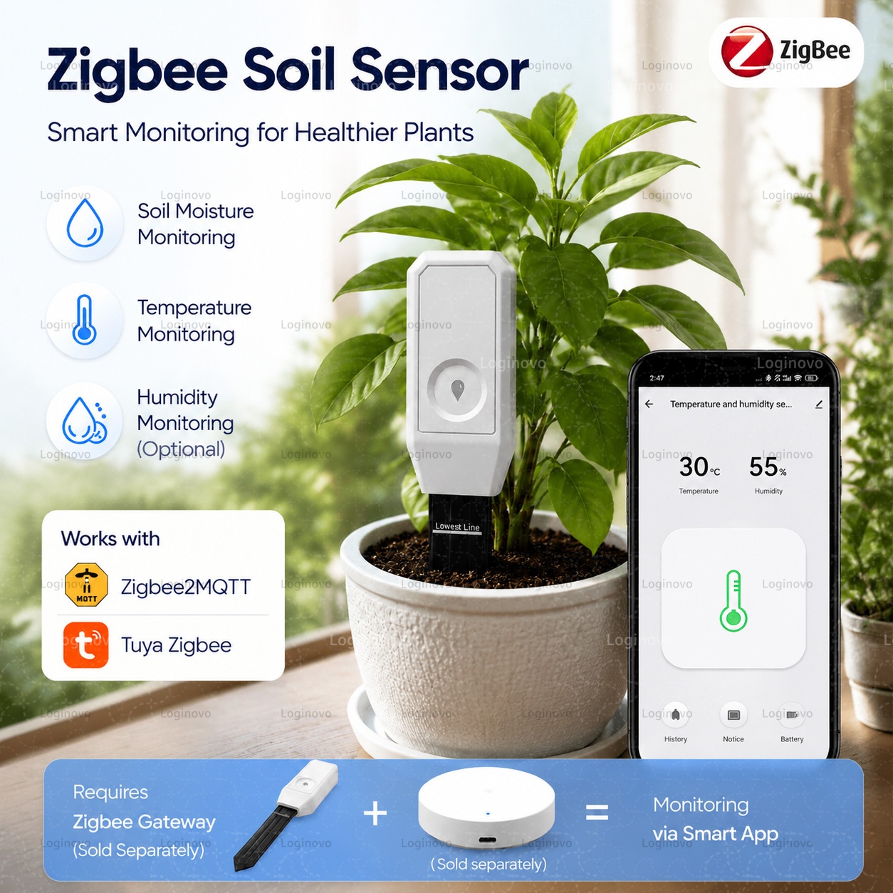 Tissue Culture Plant - Tuya Zigbee Soil Moisture Tester Temperature