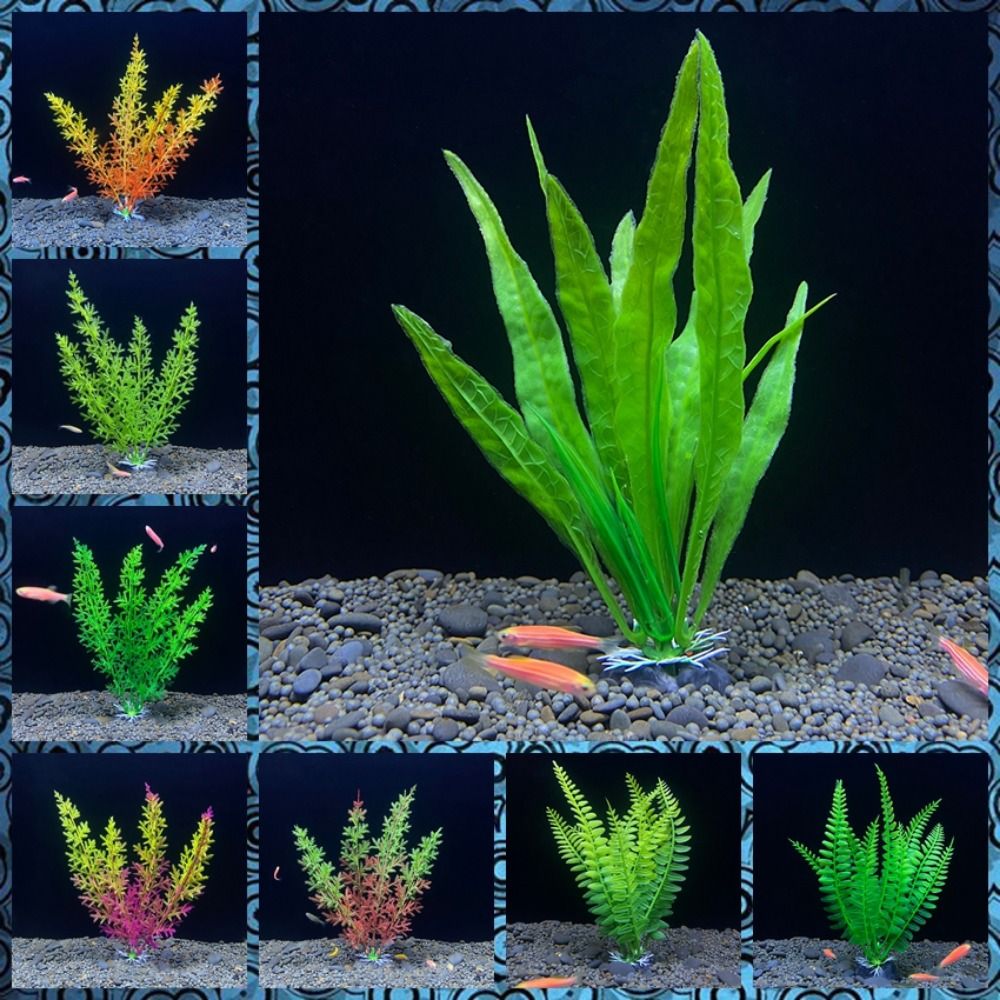 Fish Tank Ornament Plant Aquar - đánh giá và giá Planted Aquarium Bowl