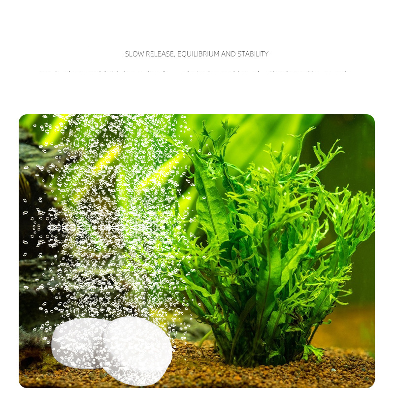 ISTA Cá Bể Cá CO2 Máy Tính Bản - đánh giá và giá Planted Aquarium Without Co2