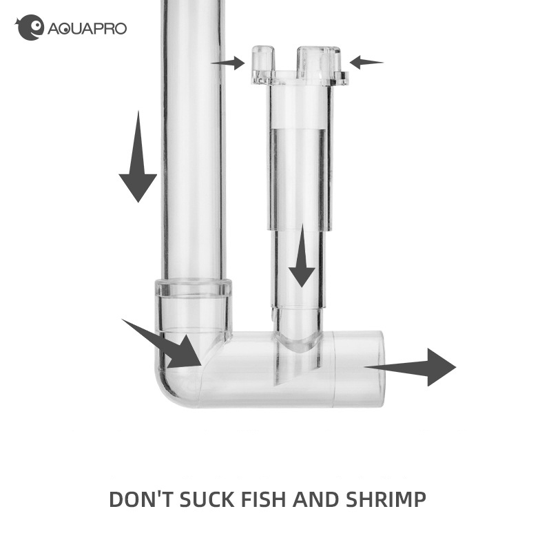 AQUAPRO Outlet Skimmer Fishing - đánh giá và giá Aquarium Lily Pipe