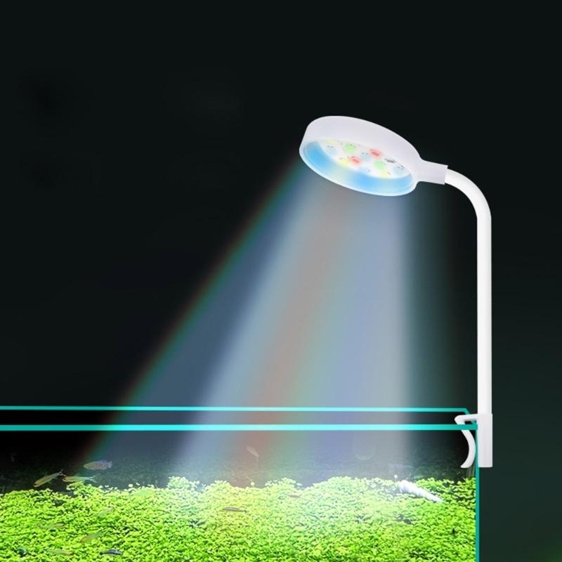 Bể cá nhỏ Đèn led bể cá có thể - đánh giá và giá Planted Aquarium Bowl