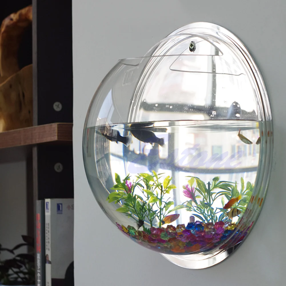 Wall Mounted Acrylic Fish Bowl - đánh giá và giá Planted Aquarium Bowl