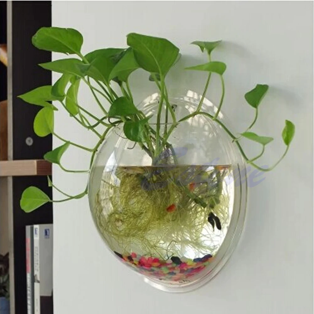 Wall Mounted Acrylic Fish Bowl - đánh giá và giá Planted Aquarium Bowl