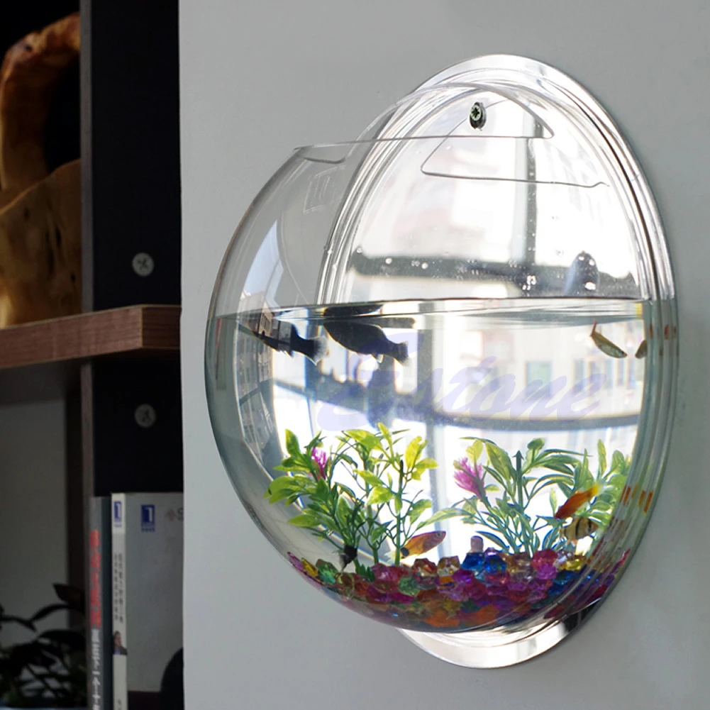 Wall Mounted Acrylic Fish Bowl - đánh giá và giá Planted Aquarium Bowl