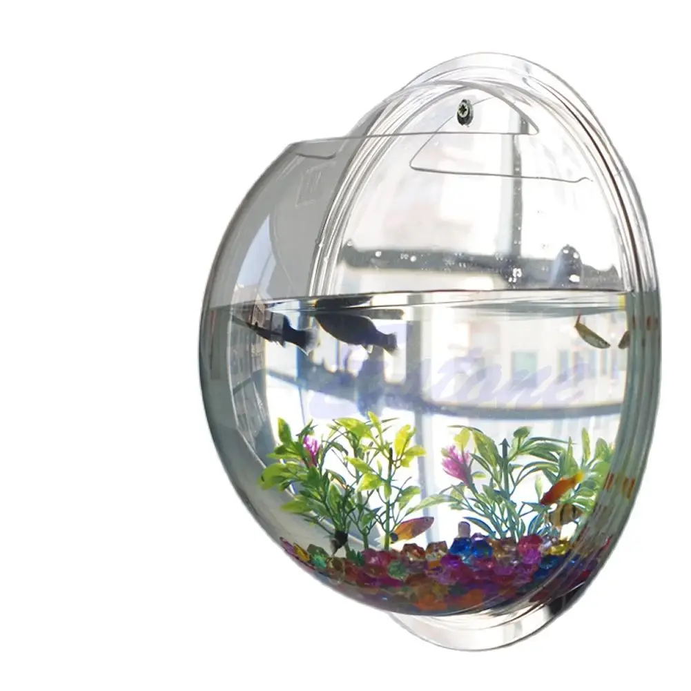 Wall Mounted Acrylic Fish Bowl - đánh giá và giá Planted Aquarium Bowl