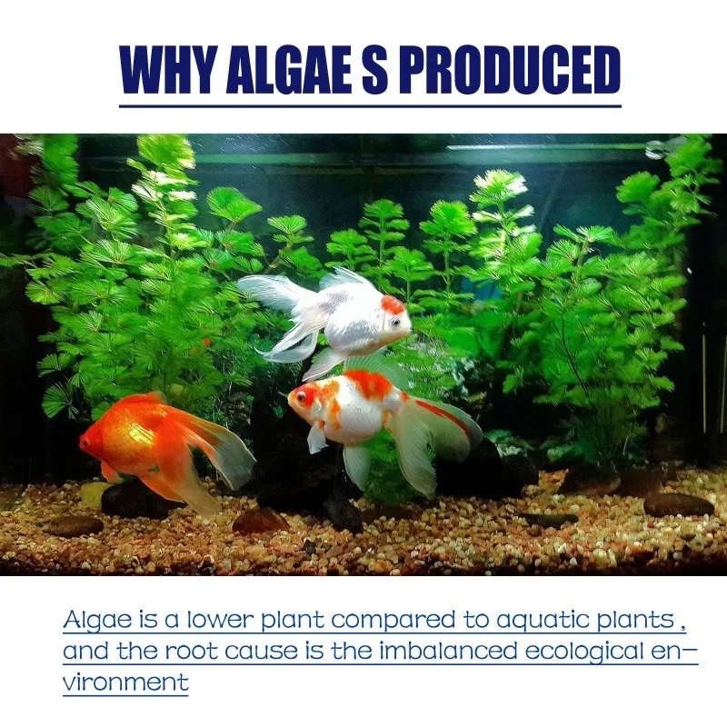 50g High Efficiency Algaecide  - đánh giá và giá Planted Aquarium Fertilizer