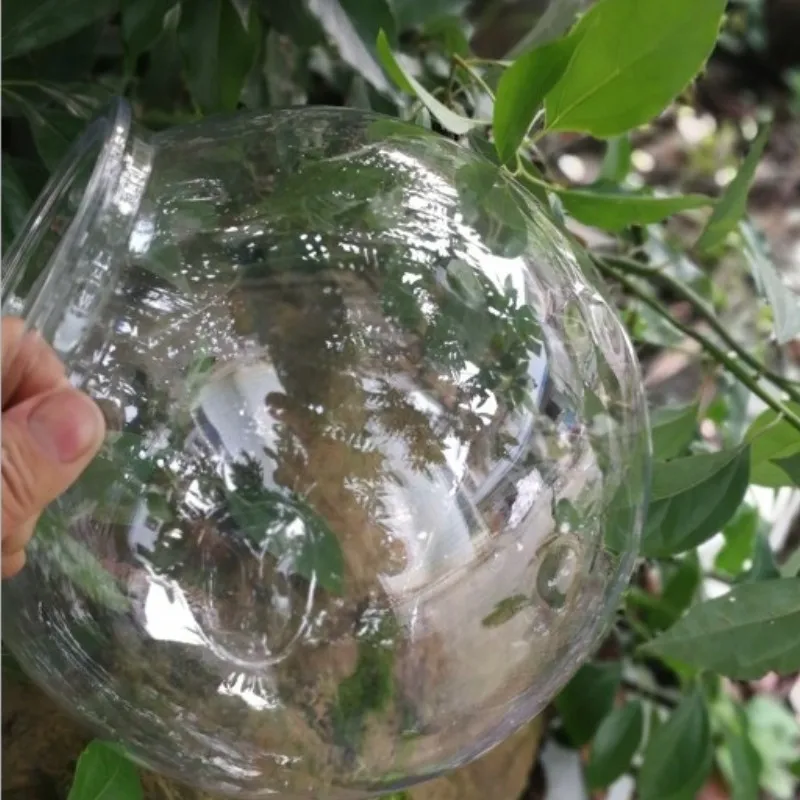 Cá Vàng Bát Để Bàn Trong Suốt  - đánh giá và giá Planted Aquarium Bowl