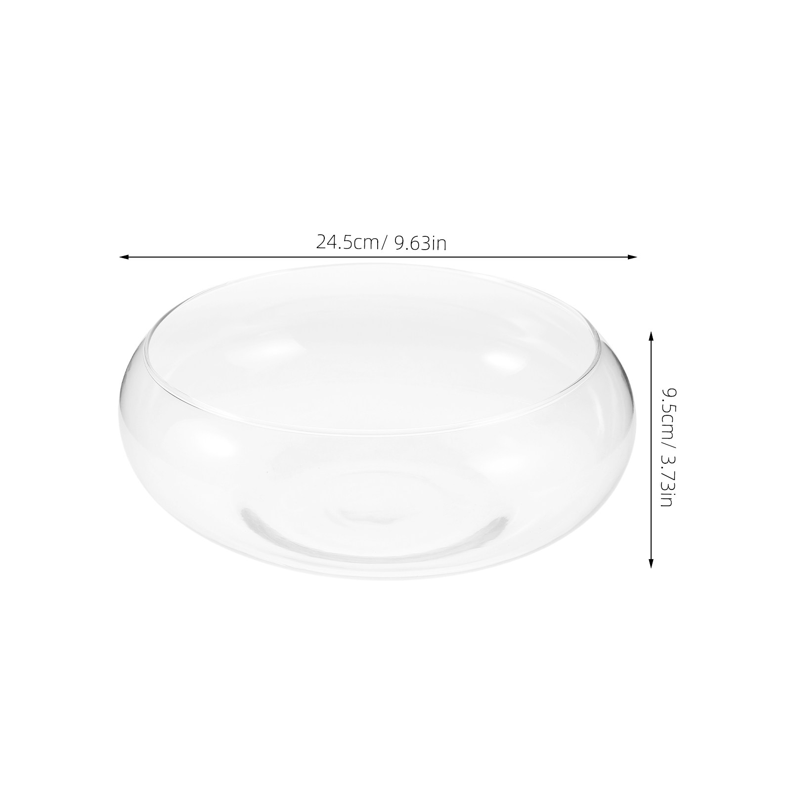 Hydroponic Glass Planter Vase  - đánh giá và giá Planted Aquarium Bowl