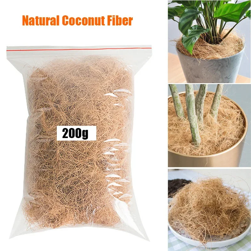 Natural Coconut Husk Fiber Flo - đánh giá và giá Tissue Culture Plant