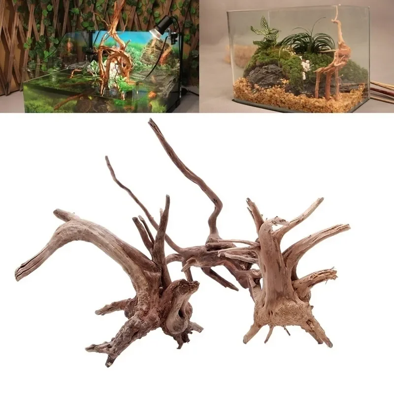 Natural Tree Trunk Driftwood A - đánh giá và giá Planted Aquarium With Driftwood