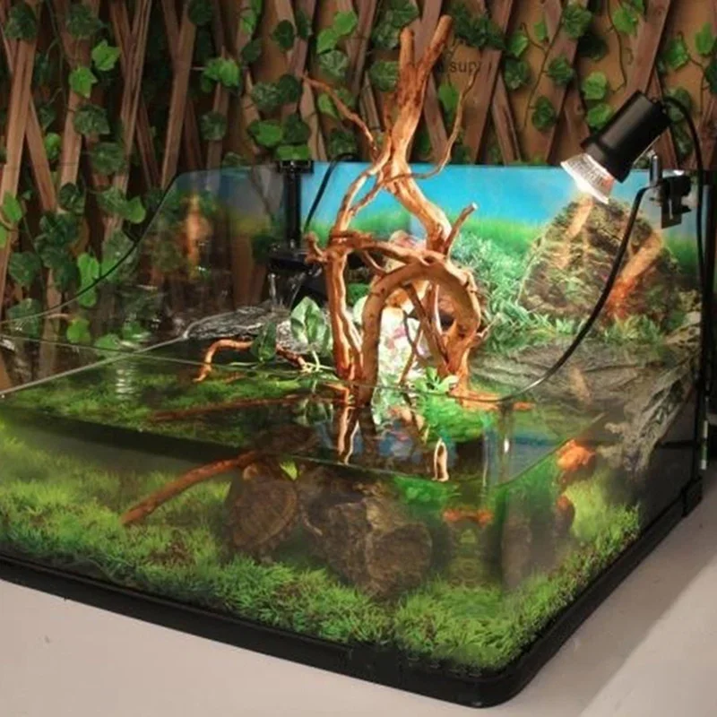Natural Tree Trunk Driftwood A - đánh giá và giá Planted Aquarium With Driftwood