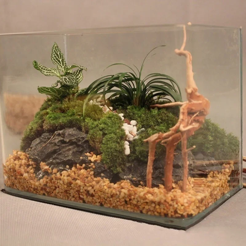 Natural Tree Trunk Driftwood A - đánh giá và giá Planted Aquarium With Driftwood