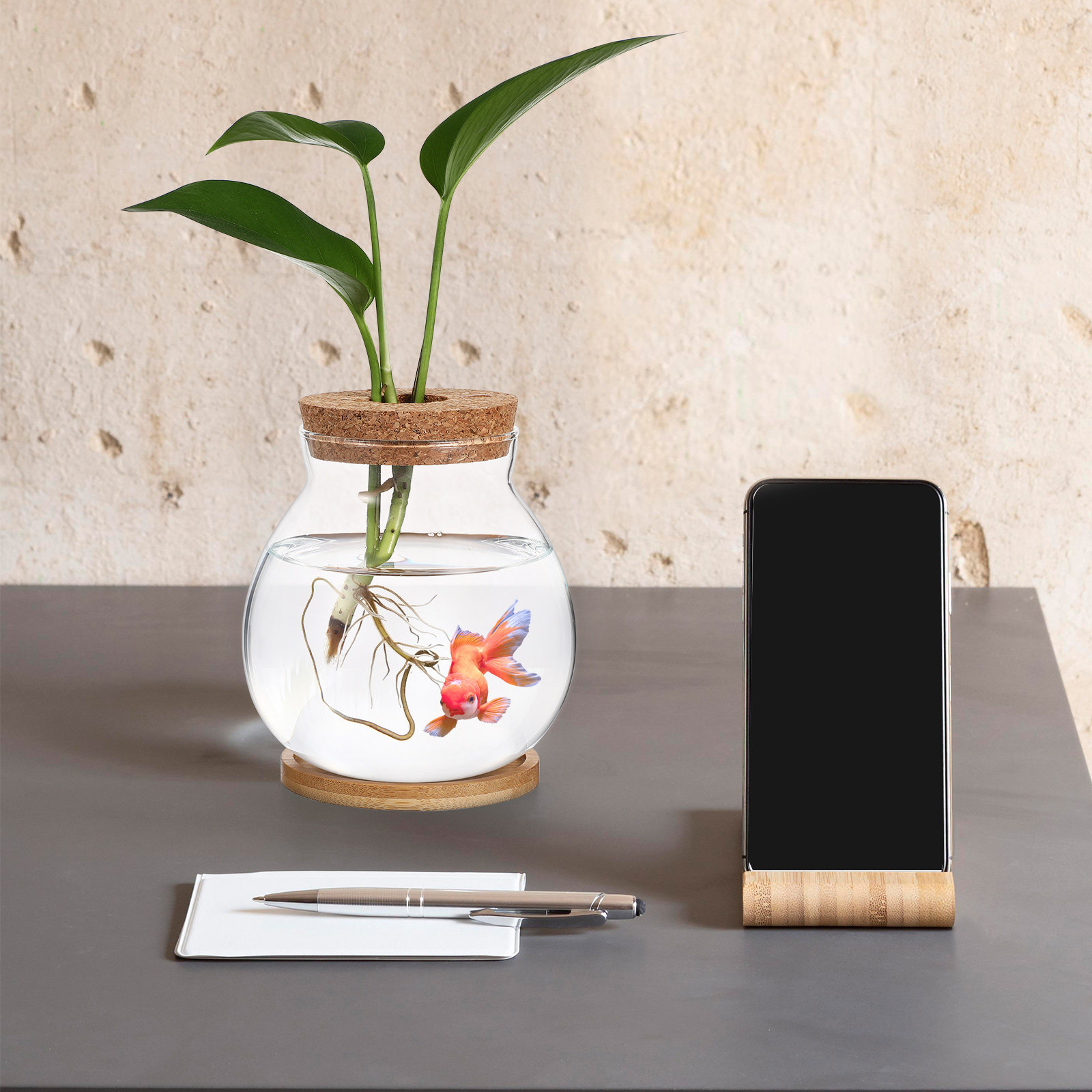 Desktop Glass Fish Bowl Small  - đánh giá và giá Planted Aquarium Bowl