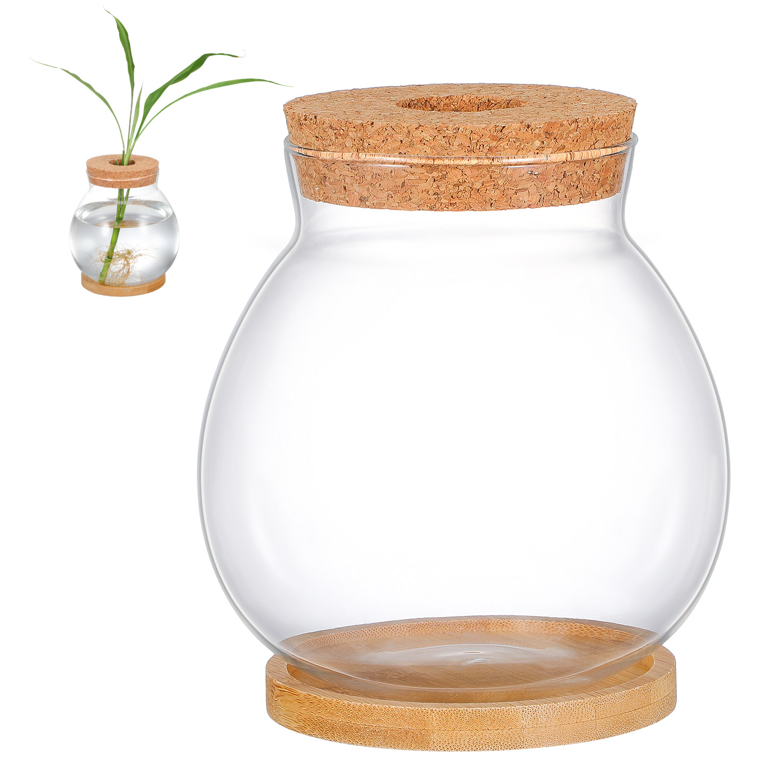 Desktop Glass Fish Bowl Small  - đánh giá và giá Planted Aquarium Bowl