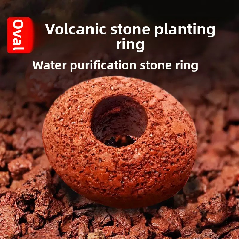 Aquarium Volcanic Rock Fish Ta - đánh giá và giá Planted Aquarium Care