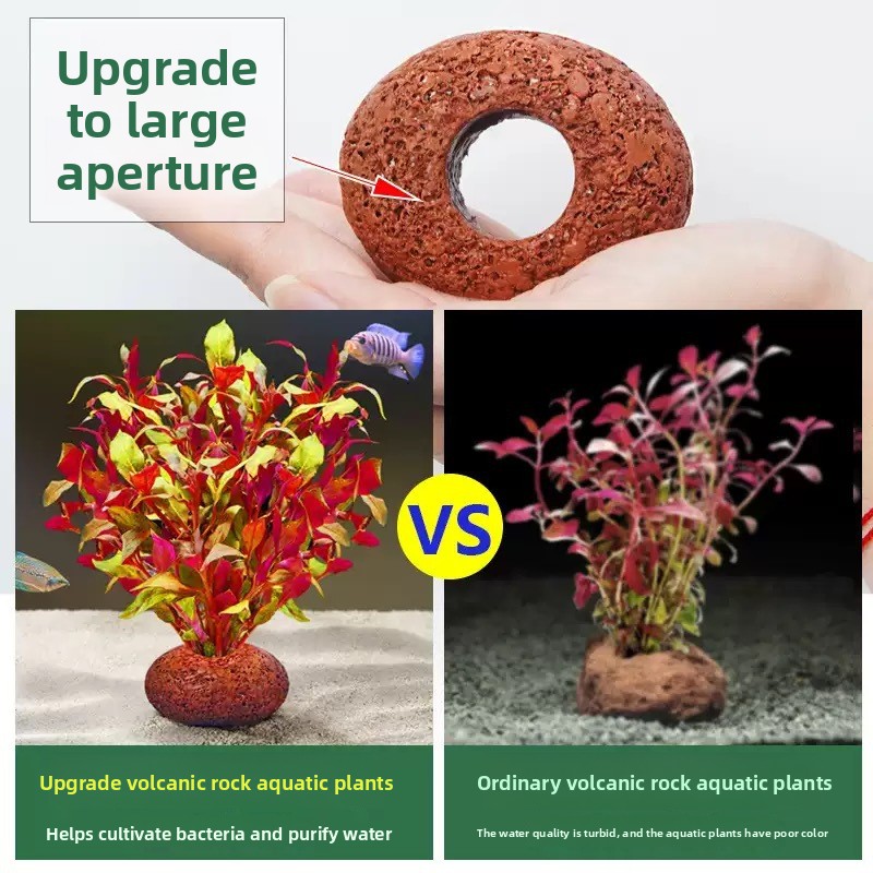 Aquarium Volcanic Rock Fish Ta - đánh giá và giá Planted Aquarium Care