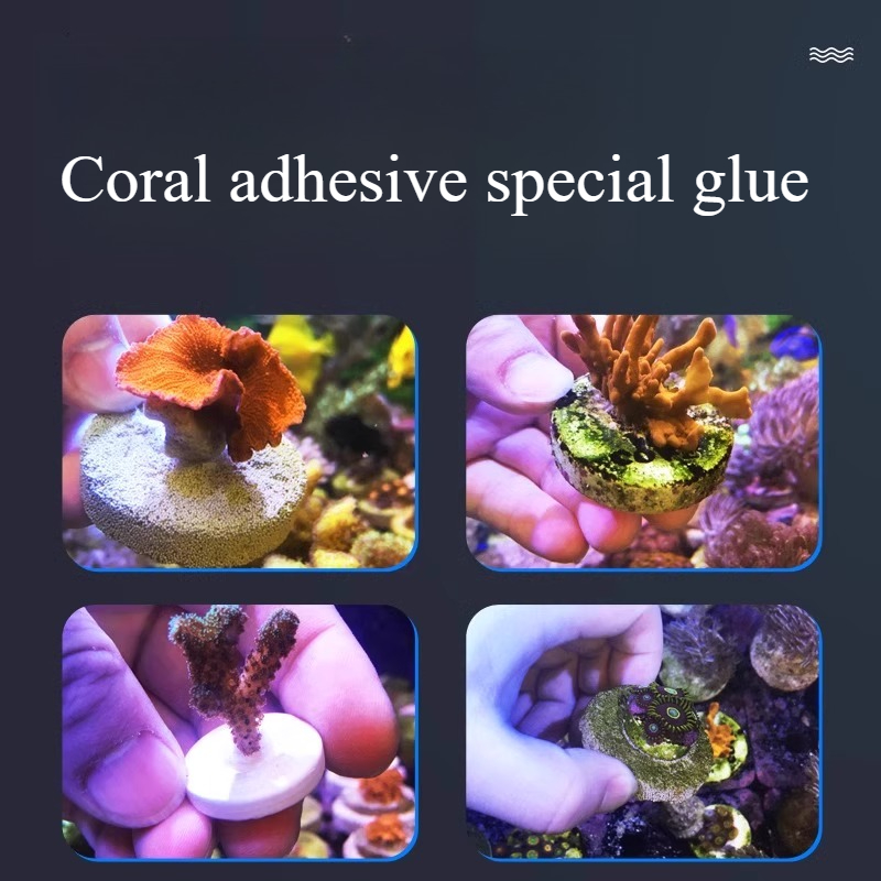 SPS LPS Coral Reef Frags Plug  - đánh giá và giá Aquarium Plant Glue Gel