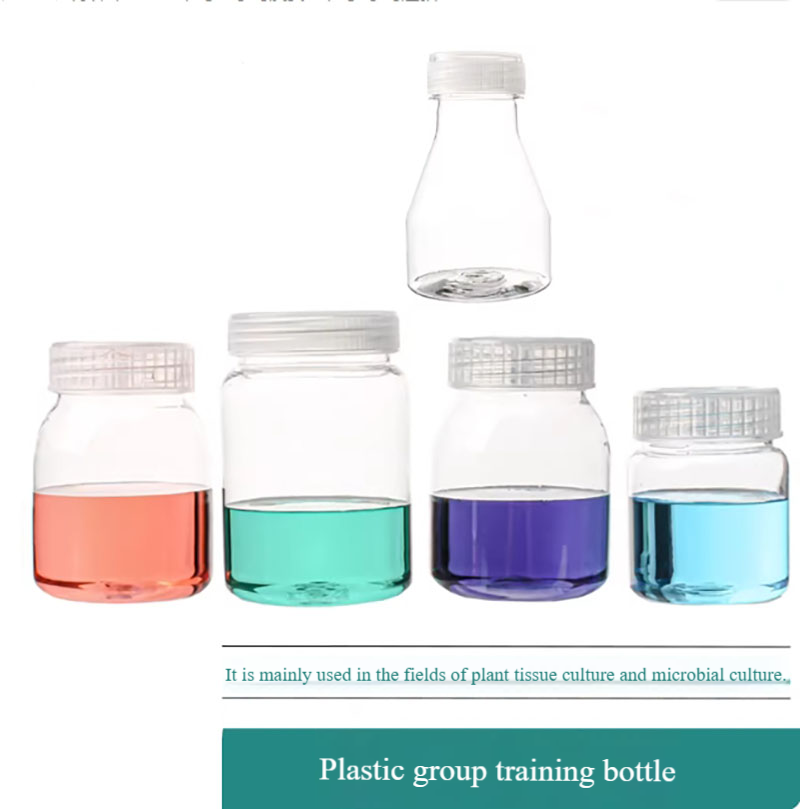 10pcs Plastic tissue culture b - đánh giá và giá Tissue Culture Plant
