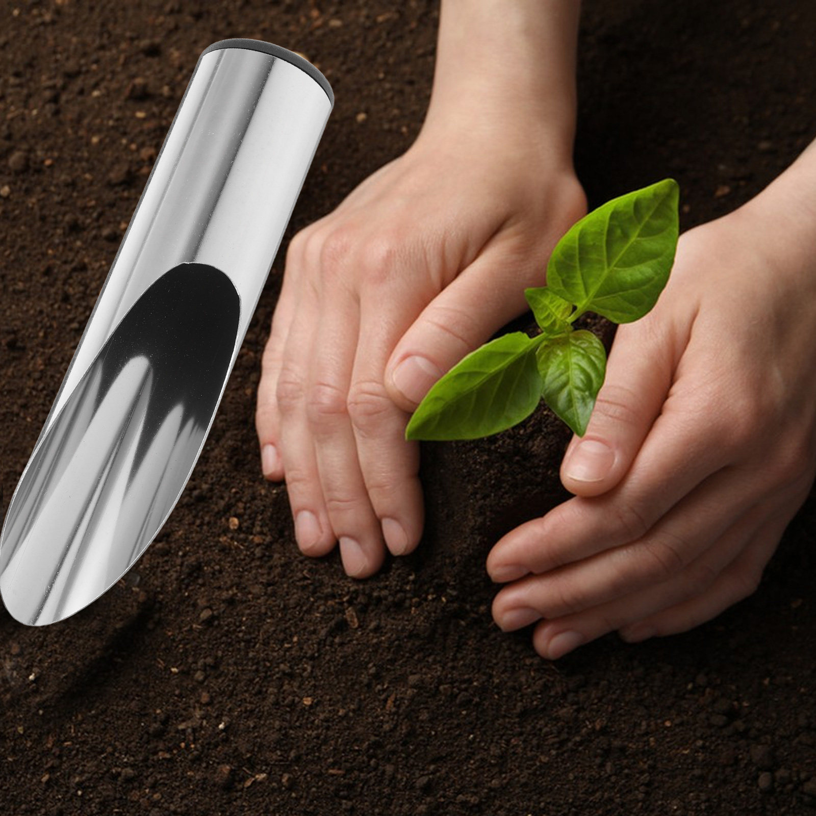 Stainless Steel Garden Shovel  - đánh giá và giá Tissue Culture Plant