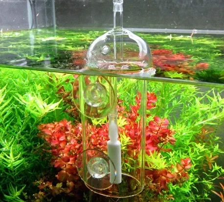 VIV Do Device Aquarium Cylinde - đánh giá và giá Aquarium Lily Pipe