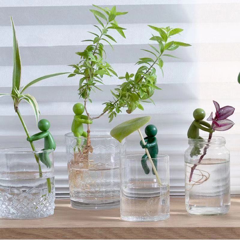 Hydroponic Plant Fixing Figuri - đánh giá và giá Tissue Culture Plant