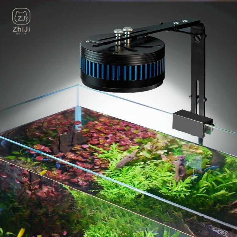 Fish Tank Downlight Led Full S - đánh giá và giá Aquarium Plant On Wood