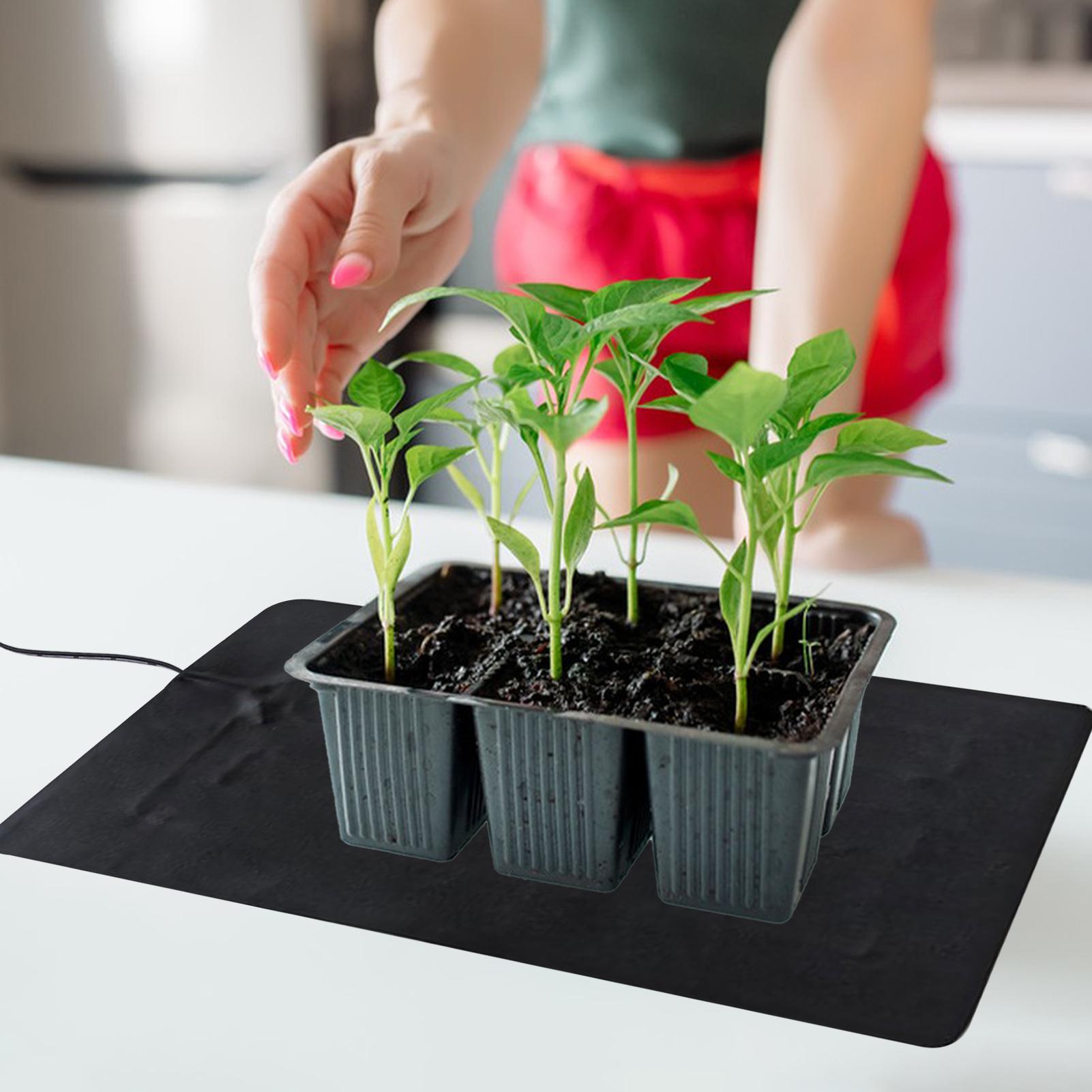 8.5W USB Seedling Heat Mats 3  - đánh giá và giá Tissue Culture Plant