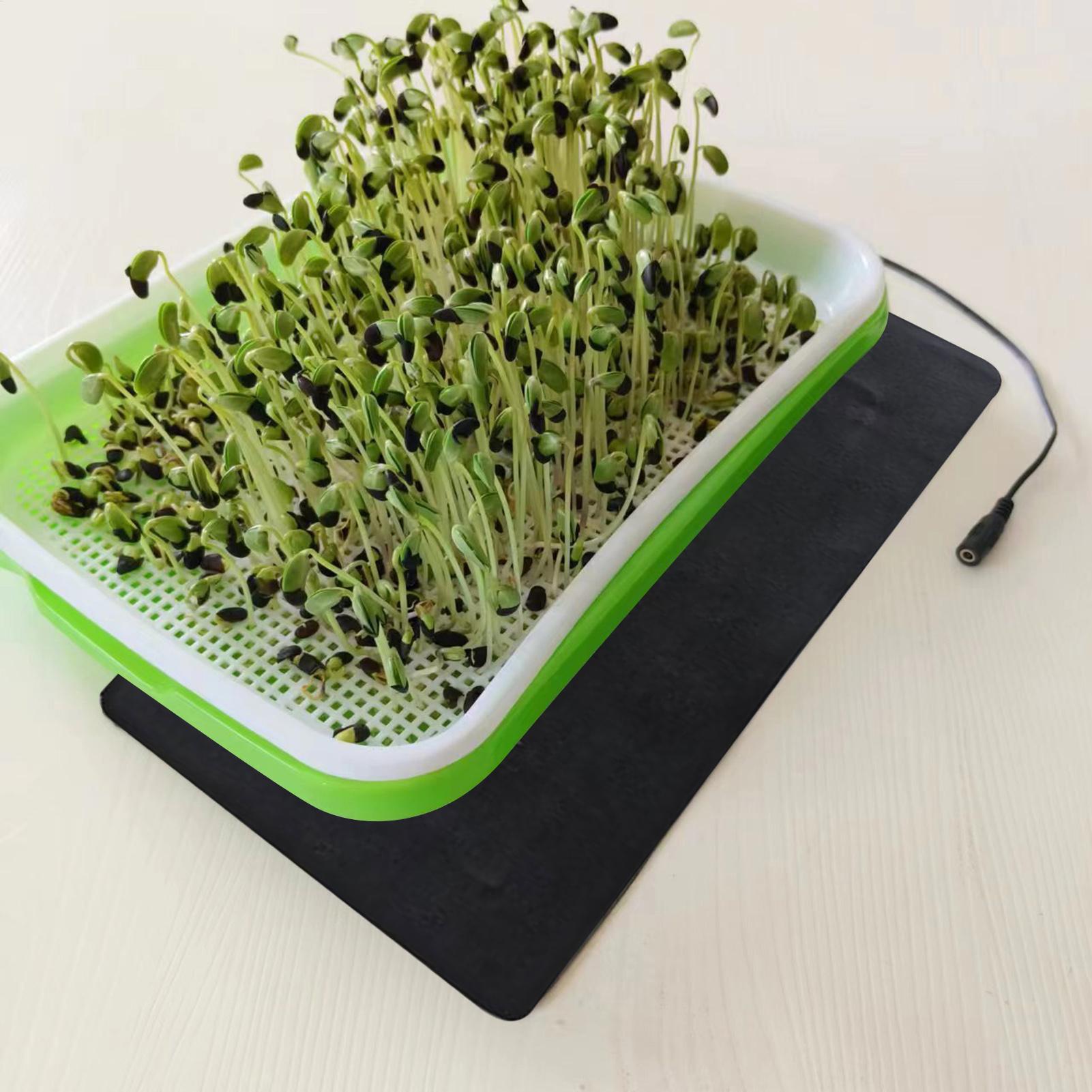 8.5W USB Seedling Heat Mats 3  - đánh giá và giá Tissue Culture Plant