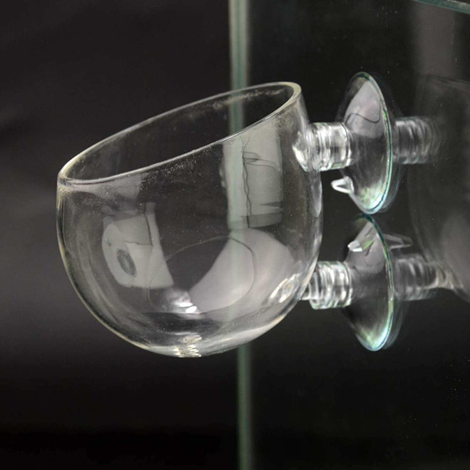 Aquarium Glass Plant Pot with  - đánh giá và giá Aquarium Plant Vine
