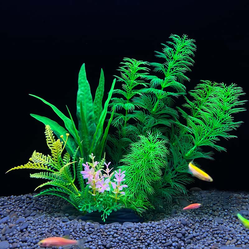 1pc Realistic Artificial Water - đánh giá và giá Planted Aquarium Bowl