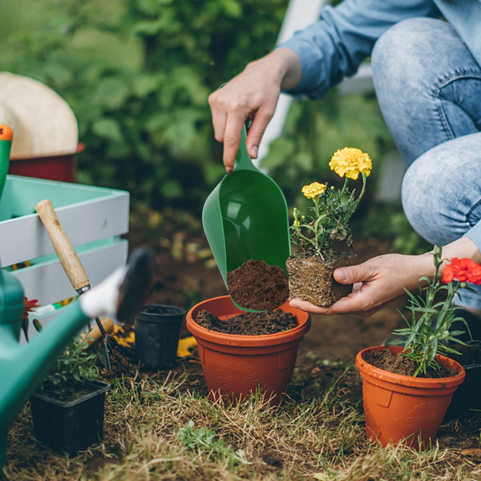 Gardening Shovel Soil Scoops L - đánh giá và giá Tissue Culture Plant