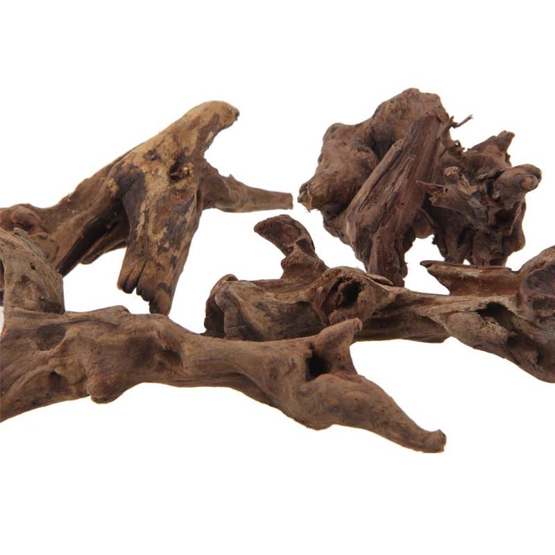 1PC Natural Aquarium Sinkable  - đánh giá và giá Planted Aquarium With Driftwood
