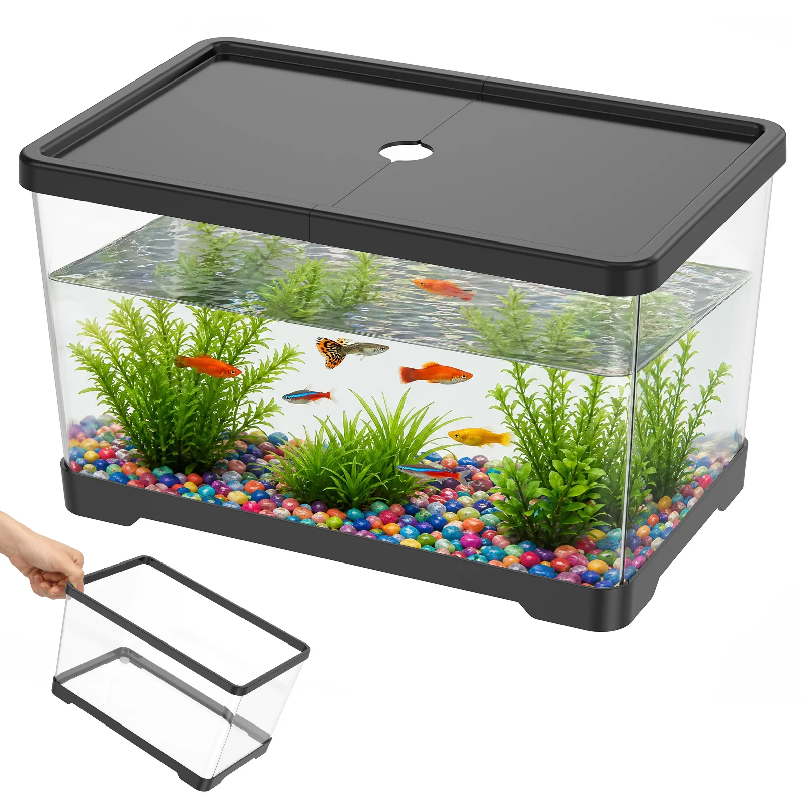 Transparent Fish Tank Aquarium - đánh giá và giá Planted Aquarium Bowl