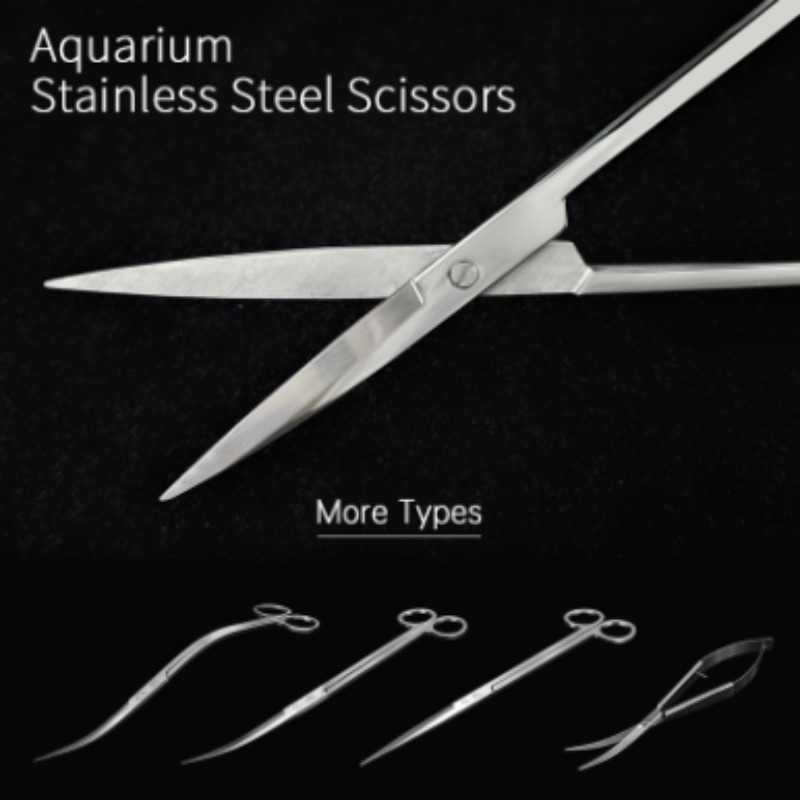 Week Aqua Stainless Steel Aqua - đánh giá và giá Planted Aquarium Equipment