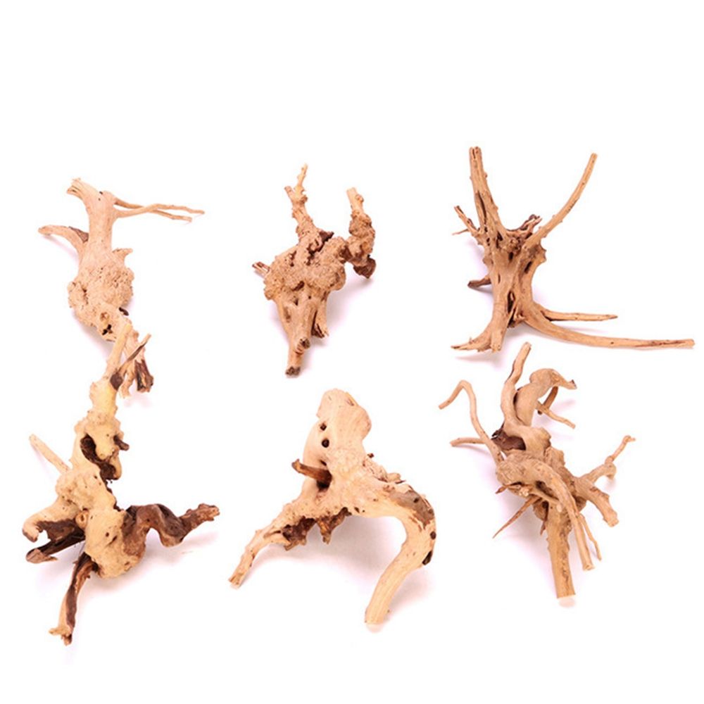 1 Pcs Wood Reptile Fish Tank O - đánh giá và giá Planted Aquarium With Driftwood