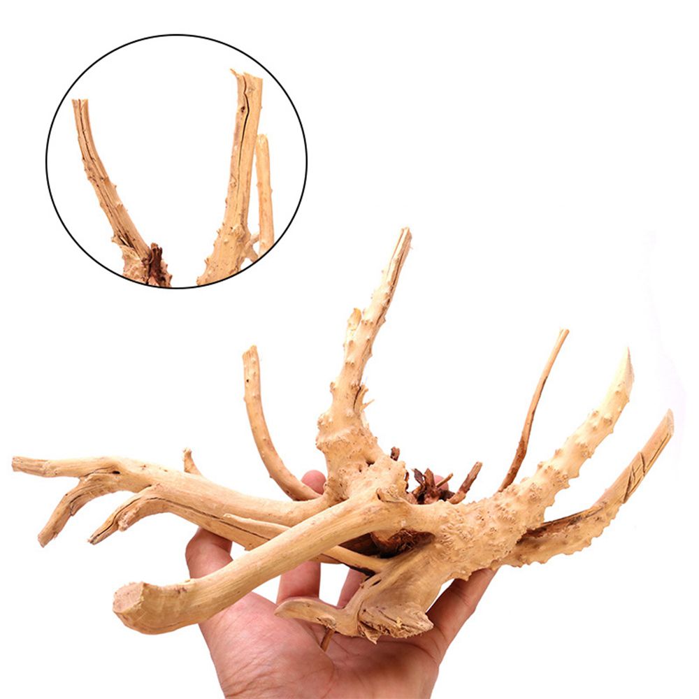 1 Pcs Wood Reptile Fish Tank O - đánh giá và giá Planted Aquarium With Driftwood