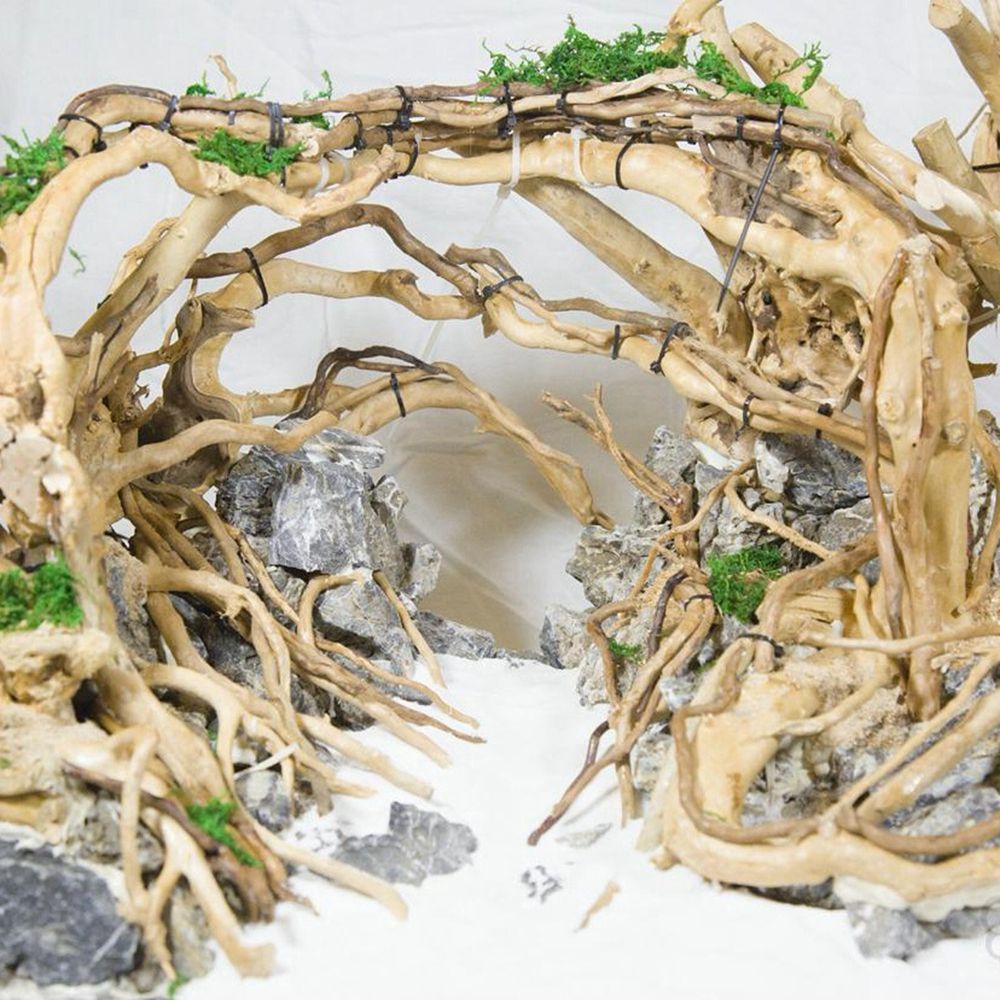 1 Pcs Wood Reptile Fish Tank O - đánh giá và giá Planted Aquarium With Driftwood