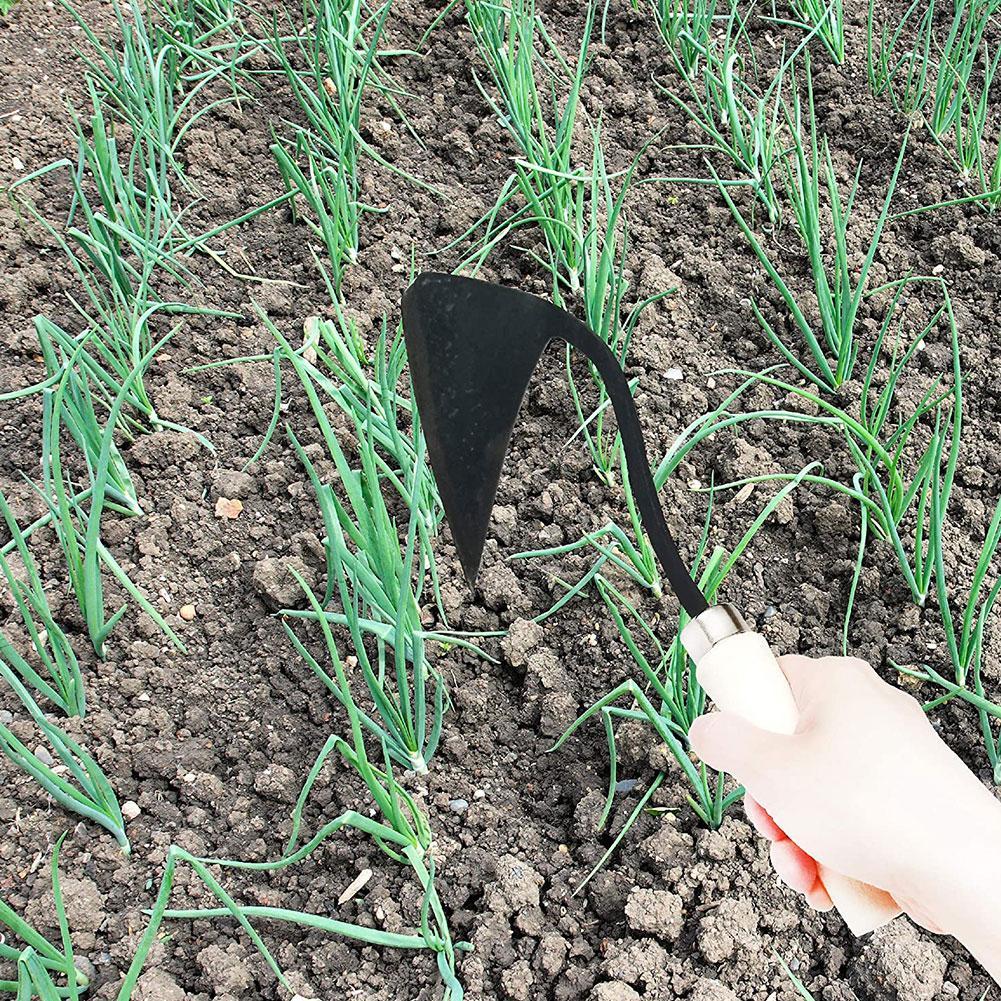 Farm Tools Hoes Triangle Furro - đánh giá và giá Tissue Culture Plant