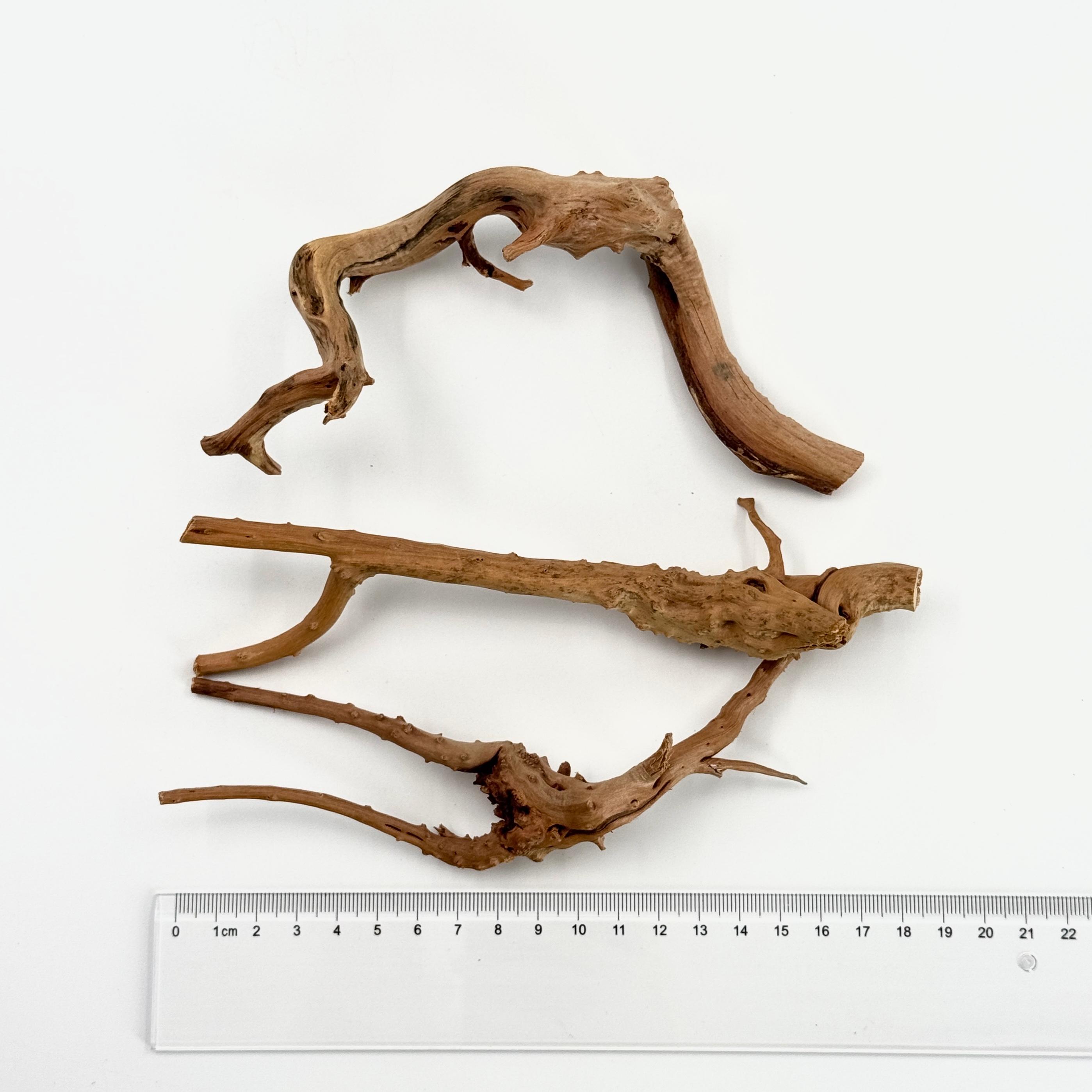 2 Pcs Natural Small Spiderwood - đánh giá và giá Planted Aquarium With Driftwood