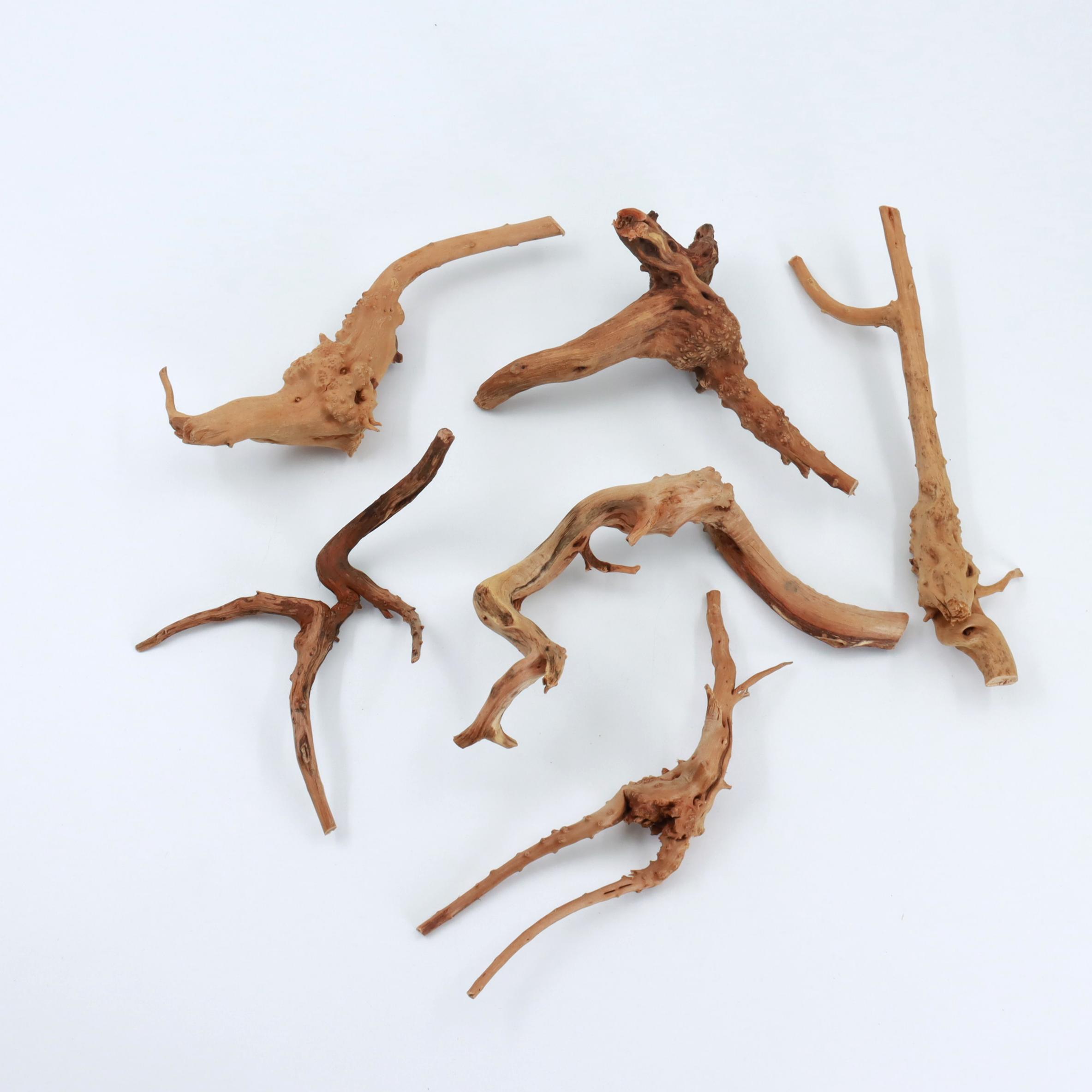 2 Pcs Natural Small Spiderwood - đánh giá và giá Planted Aquarium With Driftwood