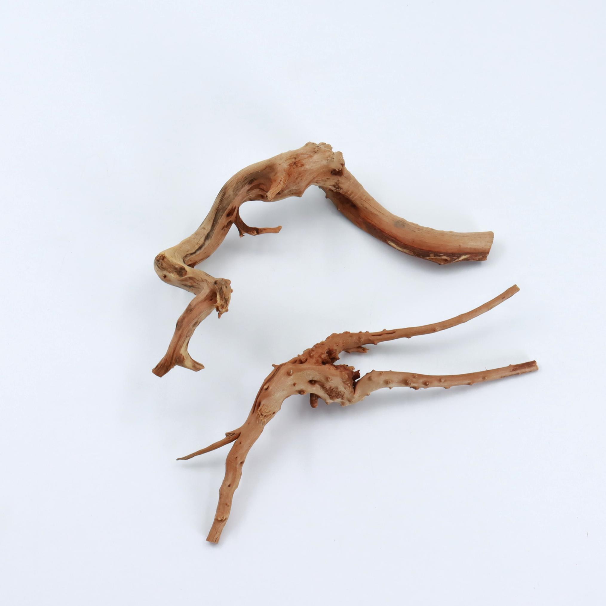 2 Pcs Natural Small Spiderwood - đánh giá và giá Planted Aquarium With Driftwood
