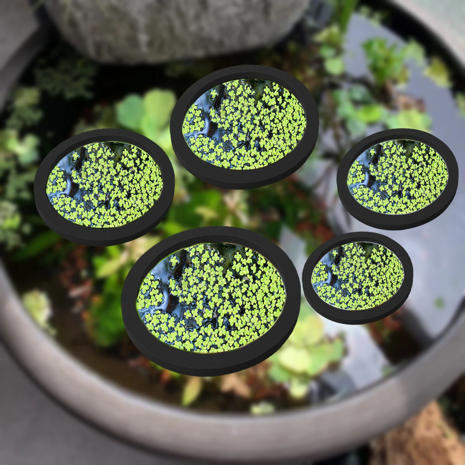 5Pcs EVA Fish Feeding Ring Aqu - đánh giá và giá Planted Aquarium Equipment