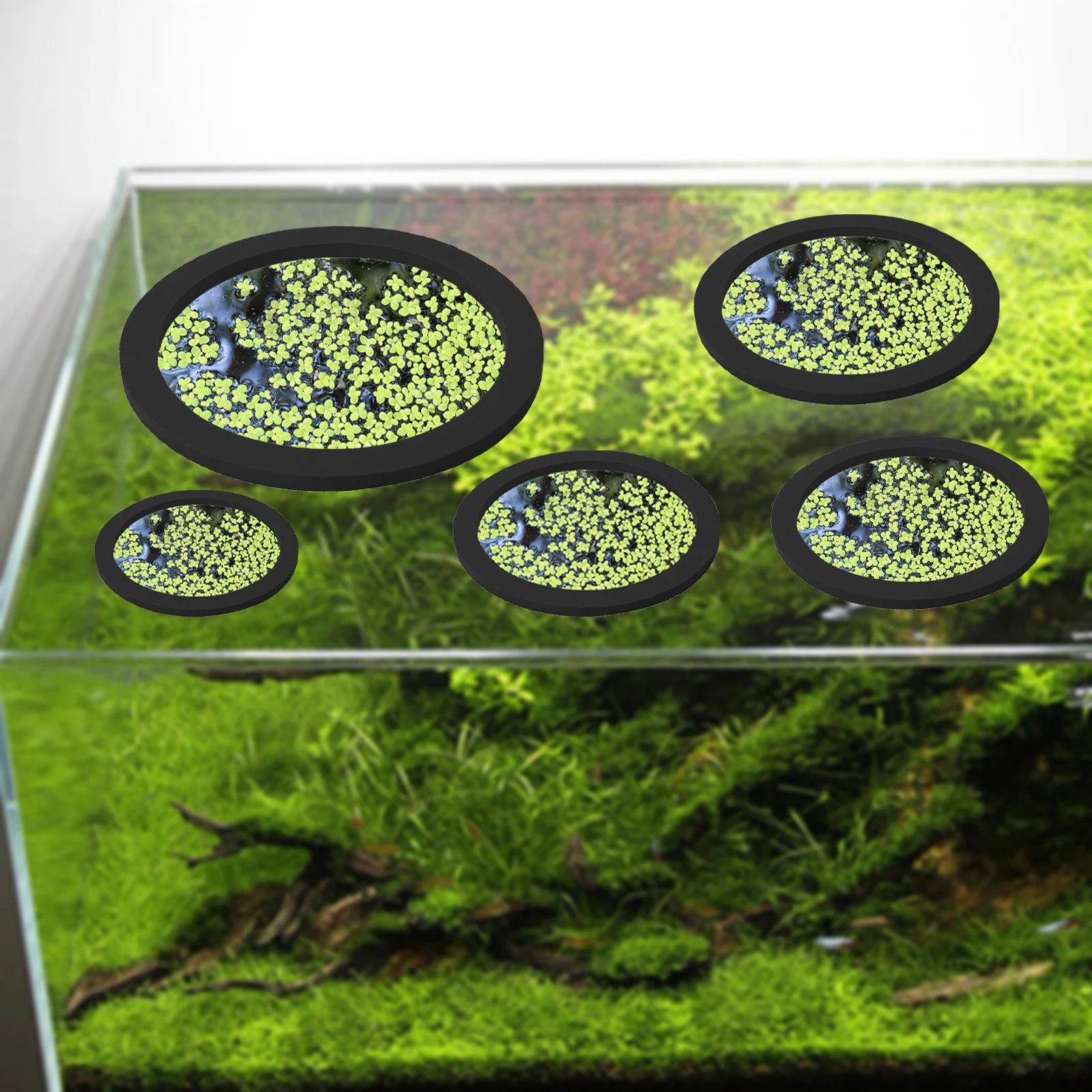 5Pcs EVA Fish Feeding Ring Aqu - đánh giá và giá Planted Aquarium Equipment