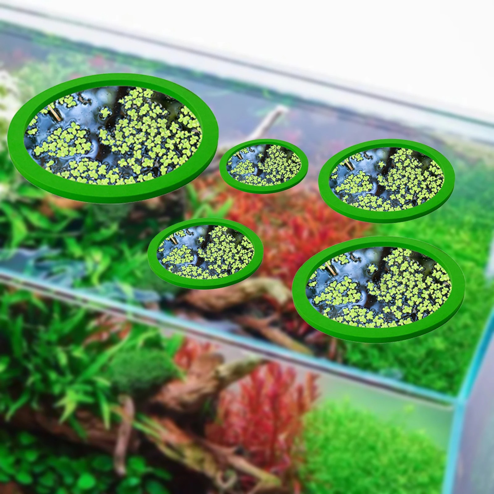 5Pcs EVA Fish Feeding Ring Aqu - đánh giá và giá Planted Aquarium Equipment
