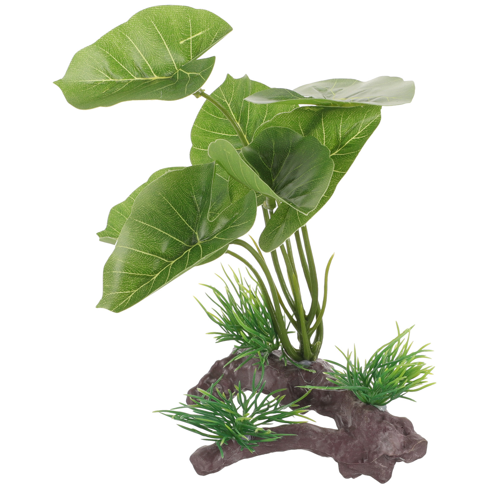 Realistic Plastic Aquarium Pla - đánh giá và giá Planted Aquarium Care