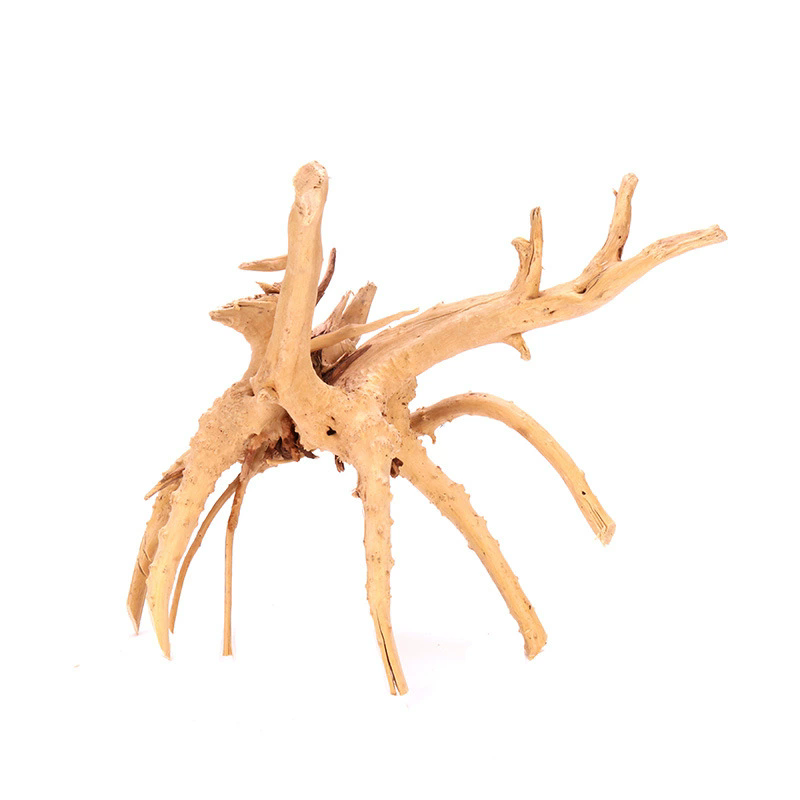 4PCS Natural Wooden Fish Tank  - đánh giá và giá Planted Aquarium With Driftwood