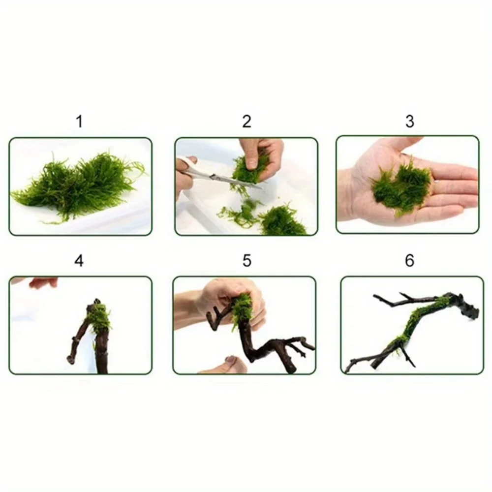 1Roll DIY Moss Line Binding Li - đánh giá và giá Planted Aquarium With Driftwood