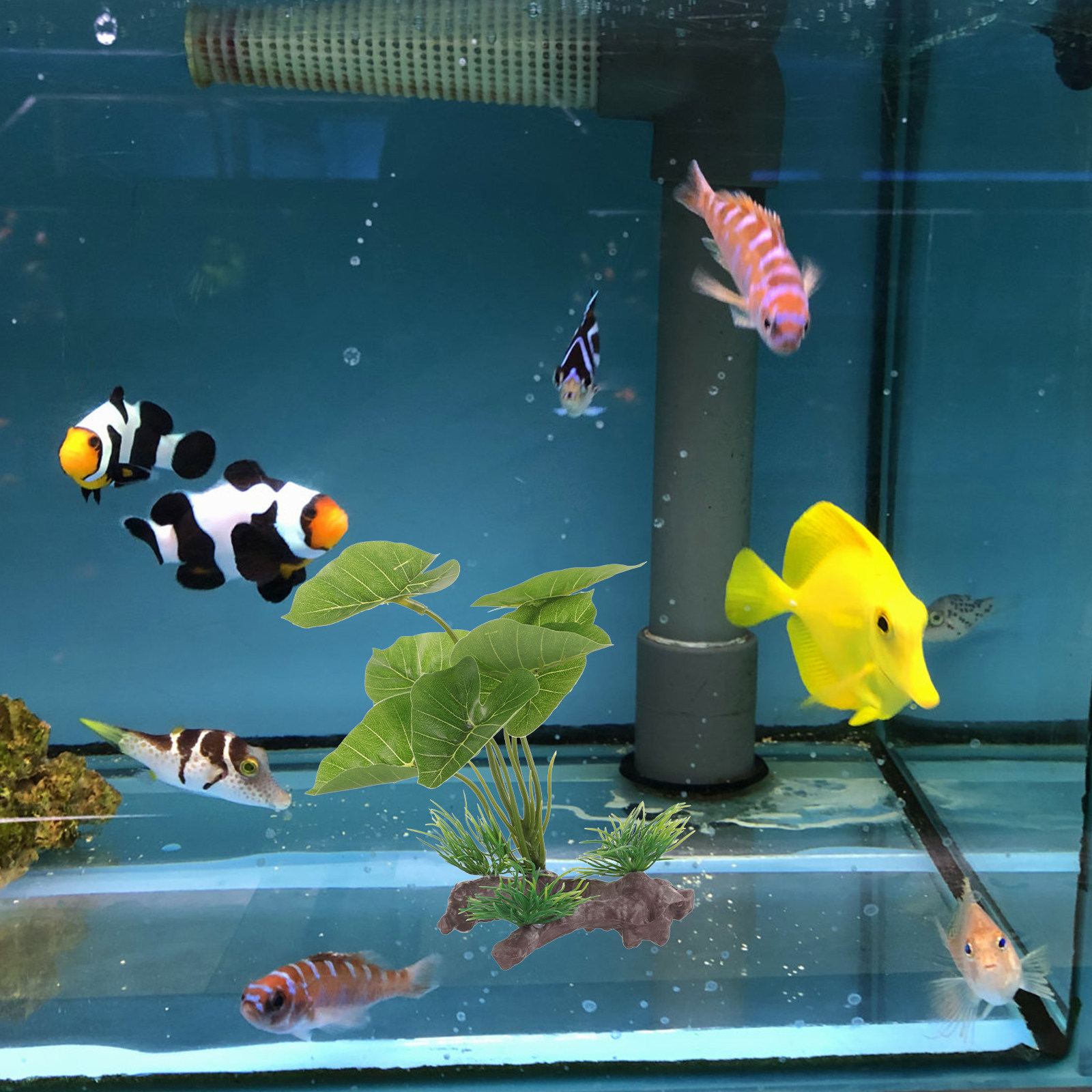 Realistic Plastic Aquarium Pla - đánh giá và giá Planted Aquarium Care
