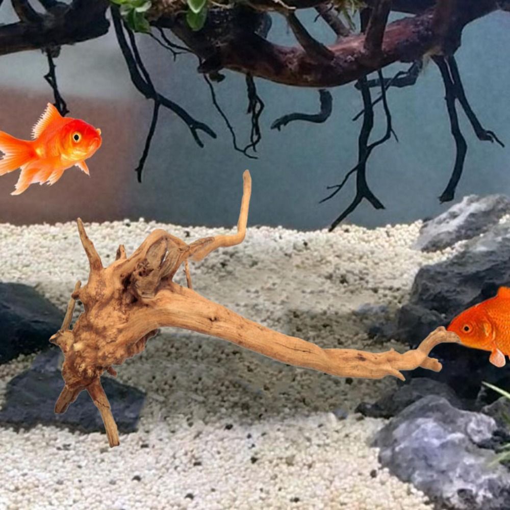 20-25CM Large Aquarium Driftwo - đánh giá và giá Planted Aquarium With Driftwood